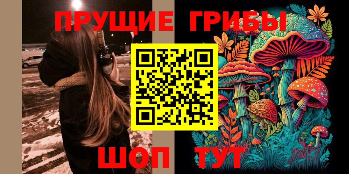 Псилоцибиновые грибы Psilocybine cubensis  Псилоцибиновые грибы мухоморы  Архангельск  Вход с VPN 